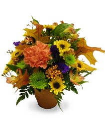 Autumn Whisper from Ladybug's Flowers & Gifts, local florist in Tulsa
