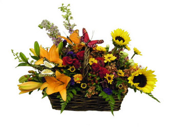 Fall for Butterflies from Ladybug's Flowers & Gifts, local florist in Tulsa