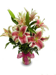 Lavish Lilies from Ladybug's Flowers & Gifts, local florist in Tulsa