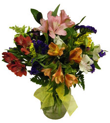 Absolutely Alstro from Ladybug's Flowers & Gifts, local florist in Tulsa