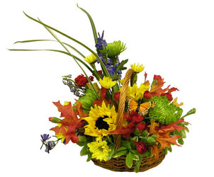 Autumn Fields from Ladybug's Flowers & Gifts, local florist in Tulsa