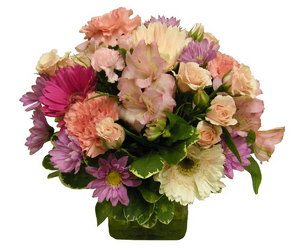 Burst of Blooms Bouquet from Ladybug's Flowers & Gifts, local florist in Tulsa