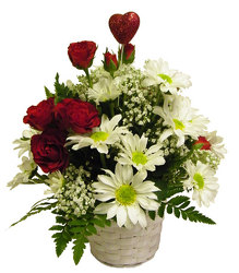 Love and Daisies from Ladybug's Flowers & Gifts, local florist in Tulsa