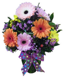 Grand Gerberas from Ladybug's Flowers & Gifts, local florist in Tulsa