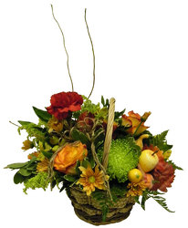 Harvest Basket from Ladybug's Flowers & Gifts, local florist in Tulsa
