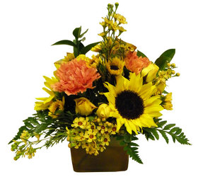 Autumn Glow from Ladybug's Flowers & Gifts, local florist in Tulsa