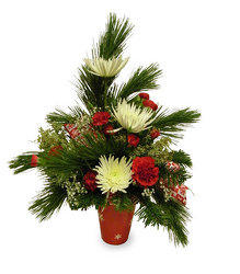 Snow Flurries from Ladybug's Flowers & Gifts, local florist in Tulsa