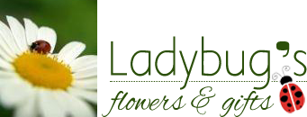 Ladybugs Flowers and Gifs, your local Tulsa florist