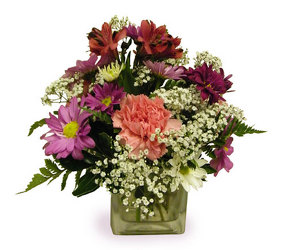 Pick Me Up from Ladybug's Flowers & Gifts, local florist in Tulsa