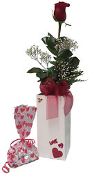Single Rose Special from Ladybug's Flowers & Gifts, local florist in Tulsa