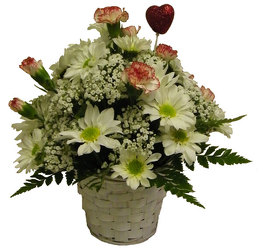 Dreamy Daisies from Ladybug's Flowers & Gifts, local florist in Tulsa