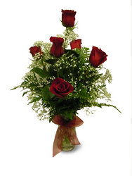 Classic Half Dozen from Ladybug's Flowers & Gifts, local florist in Tulsa