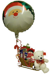 Snack Sleigh from Ladybug's Flowers & Gifts, local florist in Tulsa