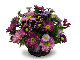 Purple Parade from Ladybug's Flowers & Gifts, local florist in Tulsa