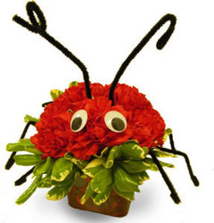 Florist Choice Christmas from Ladybug's Flowers & Gifts, local florist in Tulsa