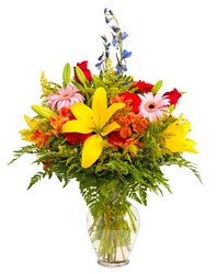 HONEYMOON from Ladybug's Flowers & Gifts, local florist in Tulsa