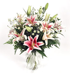 Starry Eyed Love from Ladybug's Flowers & Gifts, local florist in Tulsa