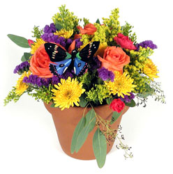  from Ladybug's Flowers & Gifts, local florist in Tulsa