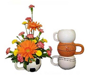 Sports Mug Arrangement from Ladybug's Flowers & Gifts, local florist in Tulsa