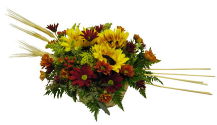 Autumn Sun from Ladybug's Flowers & Gifts, local florist in Tulsa